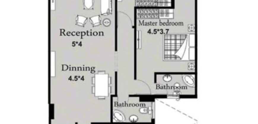 Apartment _ New Capital _ DV48_RC