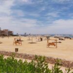 WhatsApp Image 2025-08-10 at 14.54.49_15bde8ee